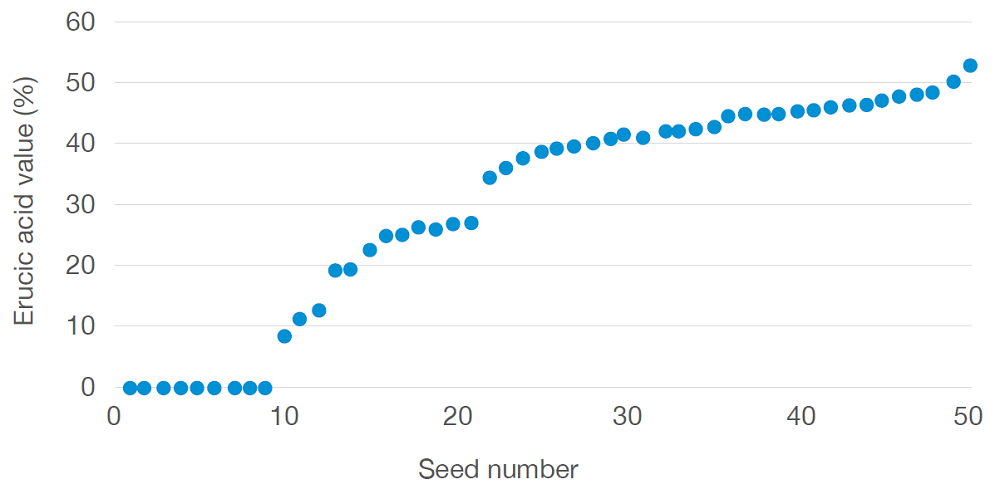 Erucic acid levels in seeds from a heavily contaminated oilseed rape sample